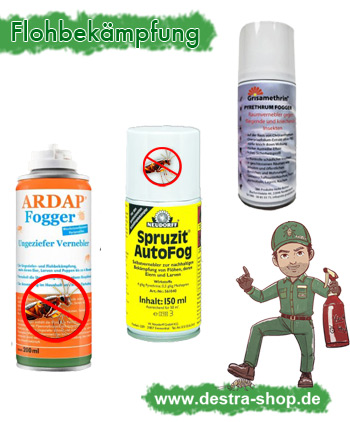 Professionelle Mittel gegen Flöhe
