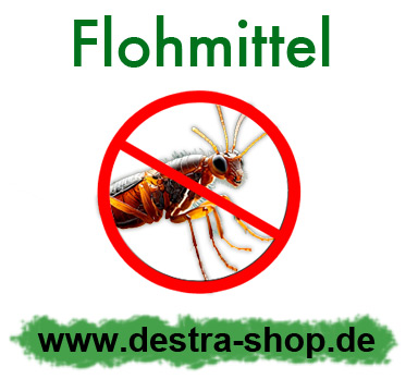 Professionelle Mittel zur Flohbekämpfung