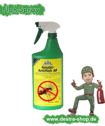 Sprühen gegen Flöhe